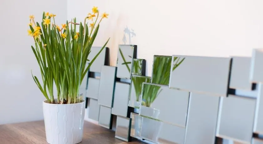 d'Castro Luxury Apartments - Alfama - Image 1