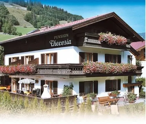 Pension Theresia - Image 1