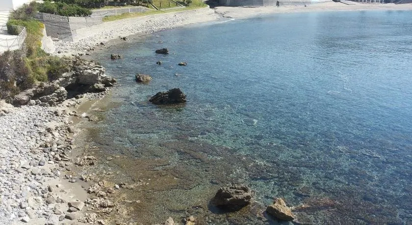 Stella di Mare - Image 1
