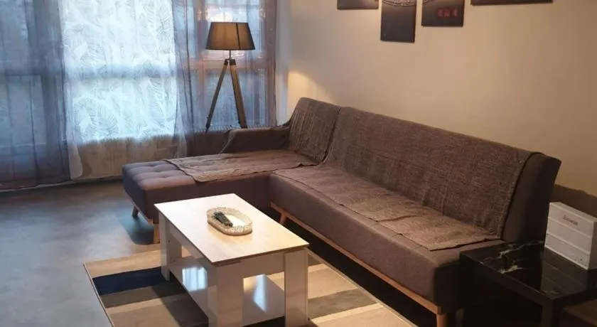 Mulhouse,Grand appart cosy&lumineux, 78m2 , pour 6 personnes - Image 1