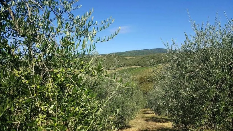 Holiday House Le Selvole - Image 1