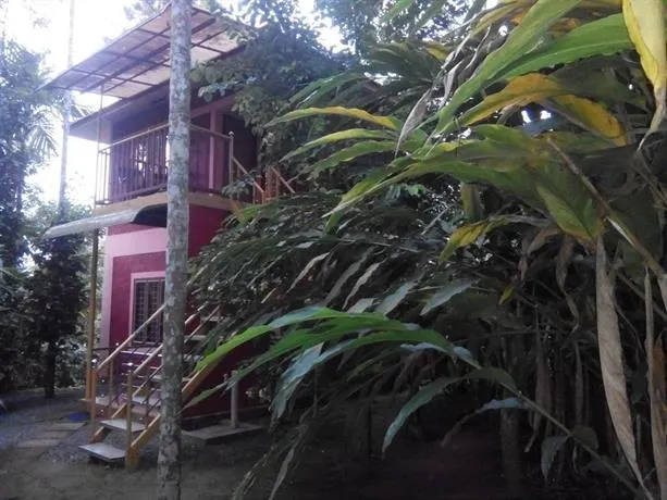 Wayanad Green Park - Image 1