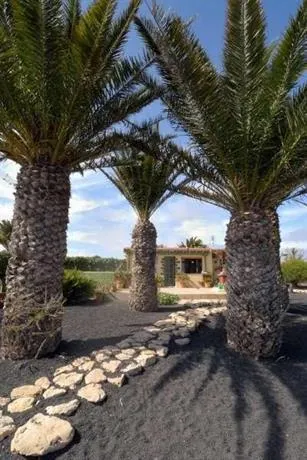 Plitina - Image 1