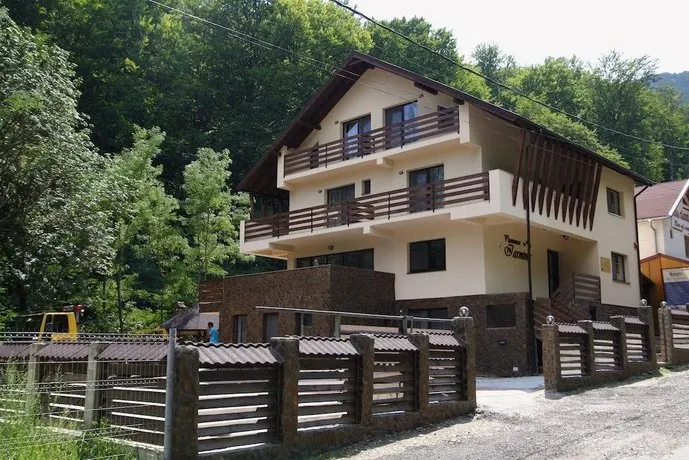 Pensiunea Iasmina - Image 1