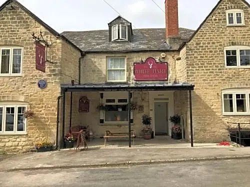 The White Hart - Image 1