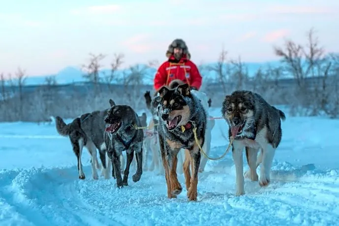 Husky Lodge - Image 1