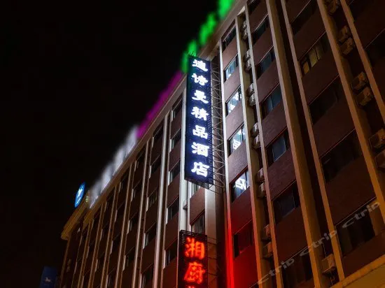 Disiman Hotel (Shanghai New International Expo Centre Kangqiao Metro Station Branch) - Image 1