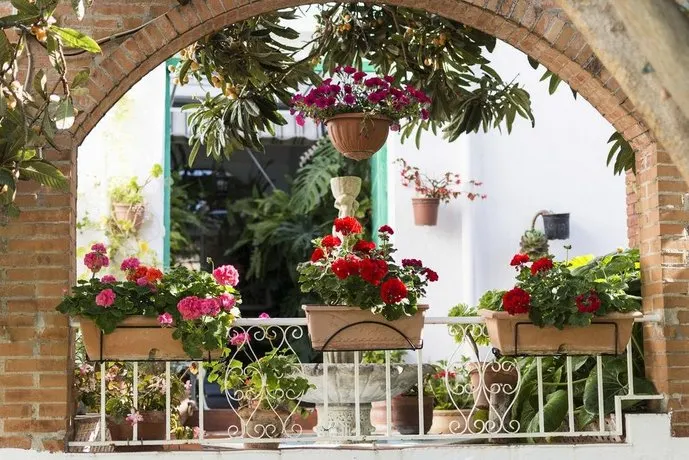Hostal Residencia Mena - Image 1