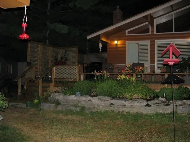 Avian Woods Bed and Breakfast - Image 1
