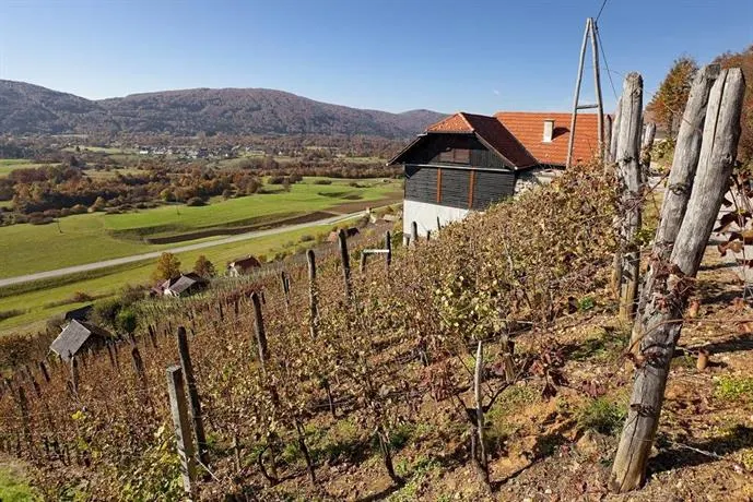 Vineyard Cottage Ludvikov Hram - Image 1