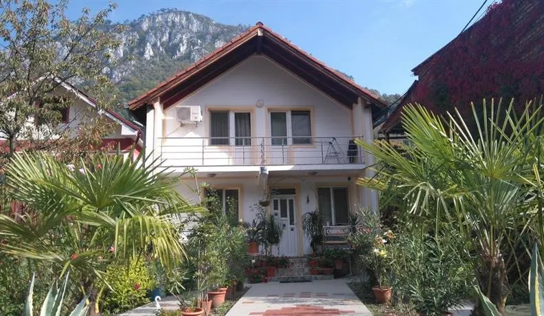 Eden - Image 1