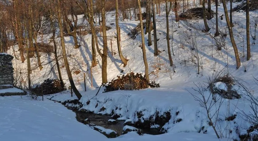 Czarnotka - Image 1
