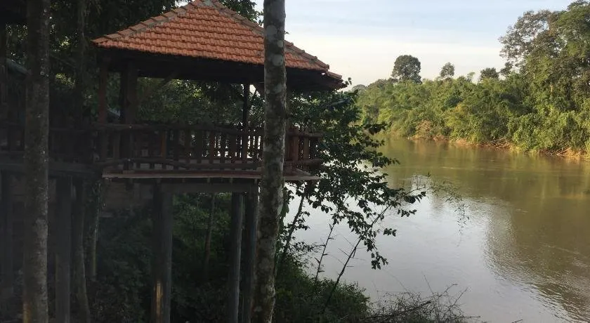 Paradise on the Tree - Image 1