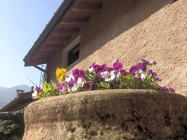 La Tana Del Ghiro - Image 1