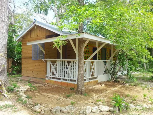 Real Jamaica - Image 1