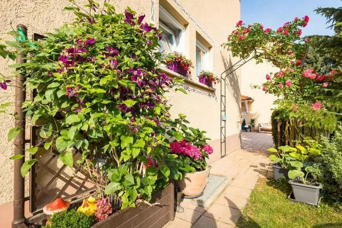Ferienwohnung Hortensie - Image 1