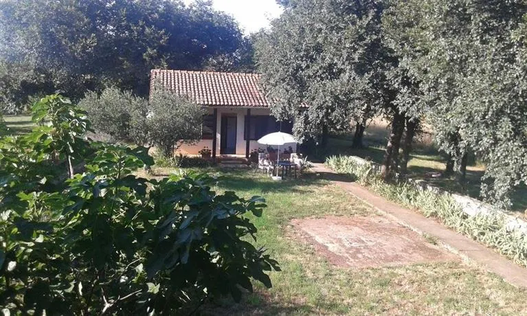 Apartment Marijana - Image 1