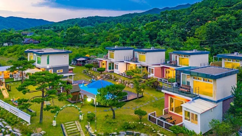 HongCheon Casa Pellis Pet Private Pesion - Image 1