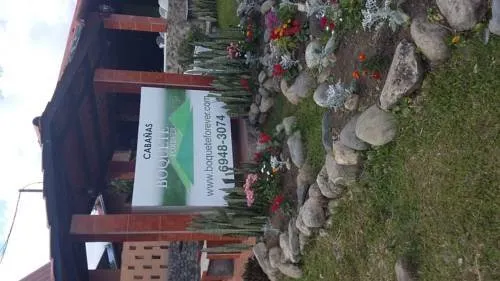 Boquete Forever - Image 1