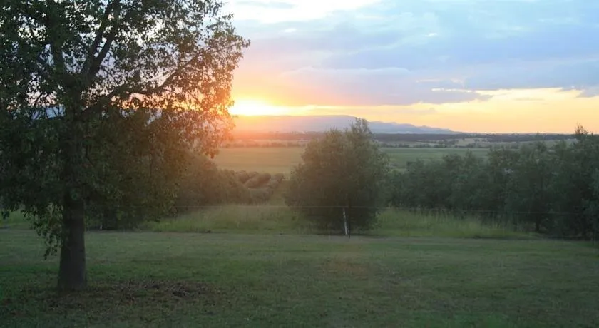 Trefolly Olive Cottage - Image 1
