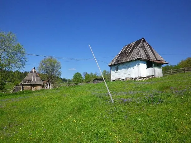 Rustic Ghetar - Image 1