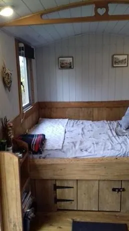 Pyllauduon Luxury Shepherds Hut - Image 1