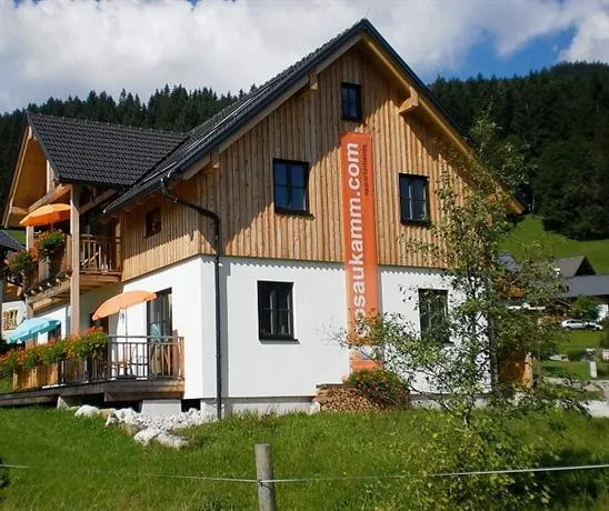 gosaukamm.com appartements - Image 1