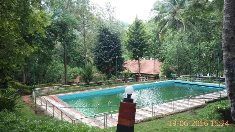 Treetop Resort - Image 1
