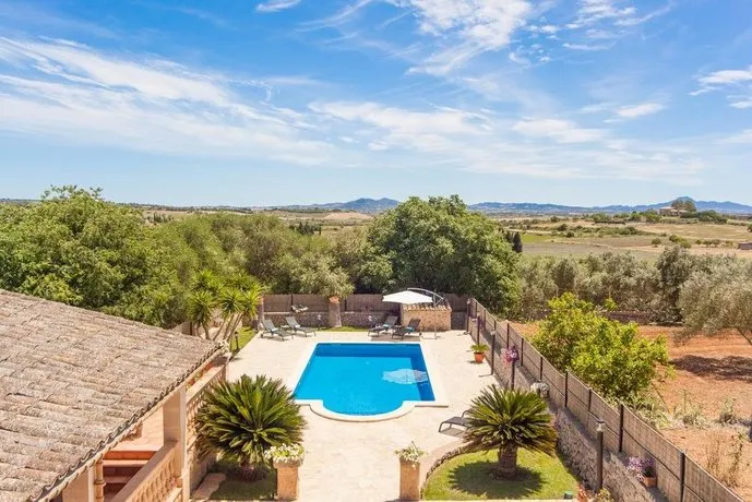 SON MOLL - Image 1