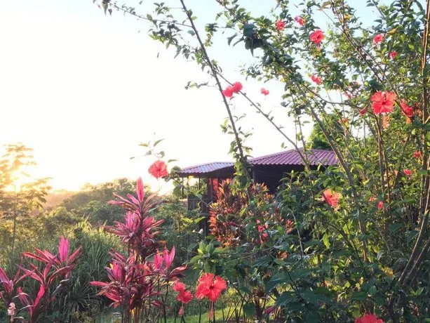 Casa Delicias Playa Montezuma - Image 1