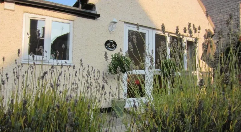 The New Bungalow - Image 1