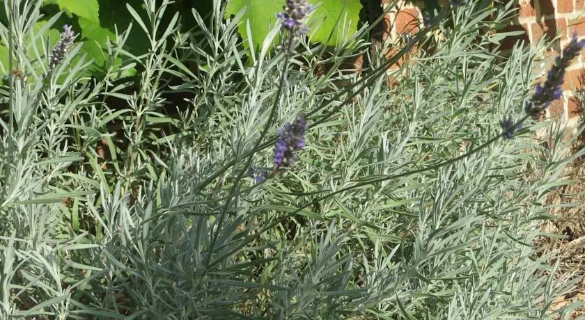 B&B Nokernote - Image 1