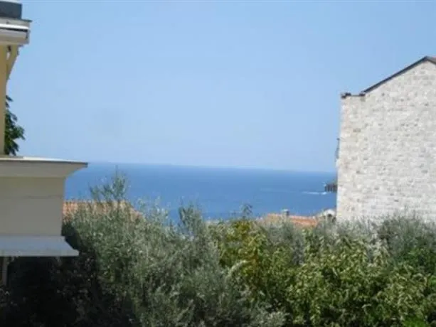 Apartment Rose - Image 1