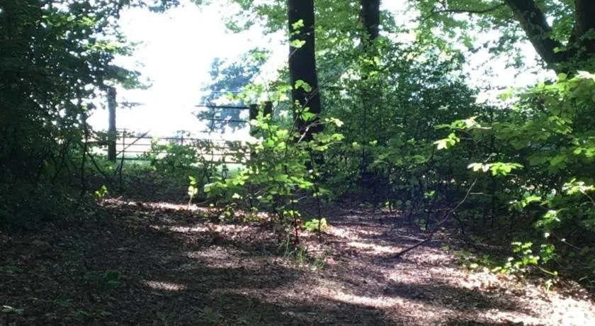 Ivy Cottage - Image 1