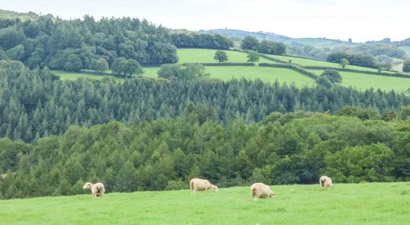 The Old Dairy Holiday Cottage - Image 1