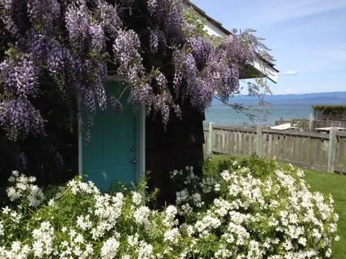 Family Beach Front Getaway - Image 1