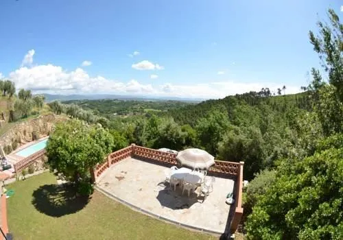 Agli Olivi - Image 1