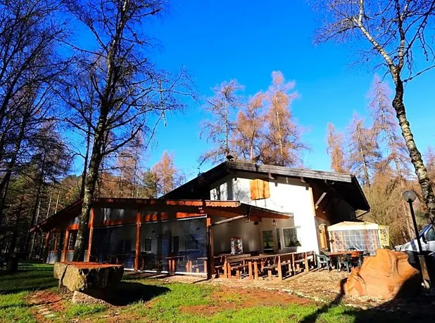 Albergo Pineta - Image 1