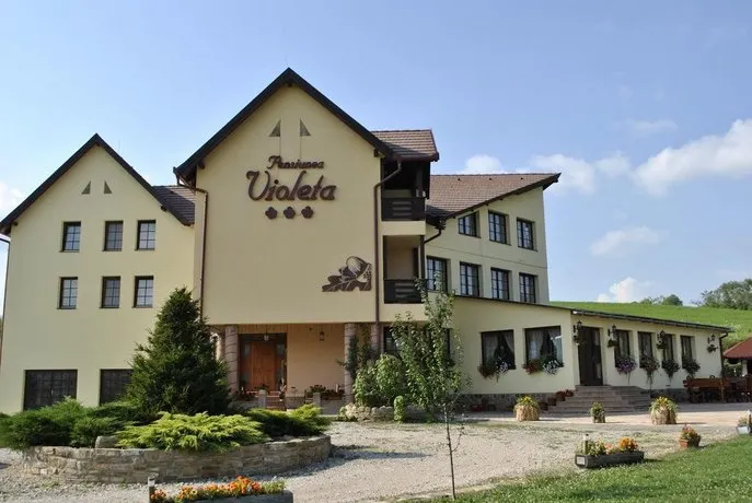 Pensiunea Violeta - Image 1