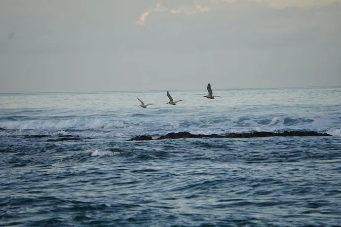 Hotel Playa Carmen - Image 1