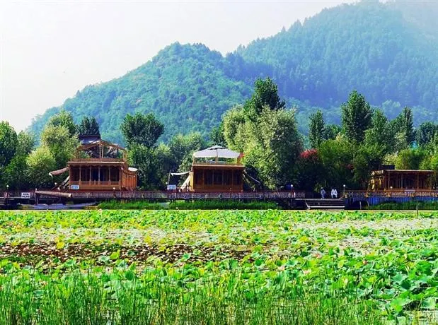 Royal Group of Deluxe Houseboats - Image 1