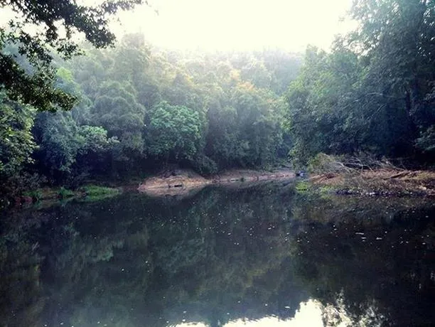 Anejhari Butterfly Park by jungle Lodges - Image 1