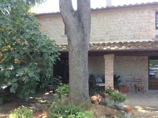 Agriturismo Dominus Domenico - Image 1