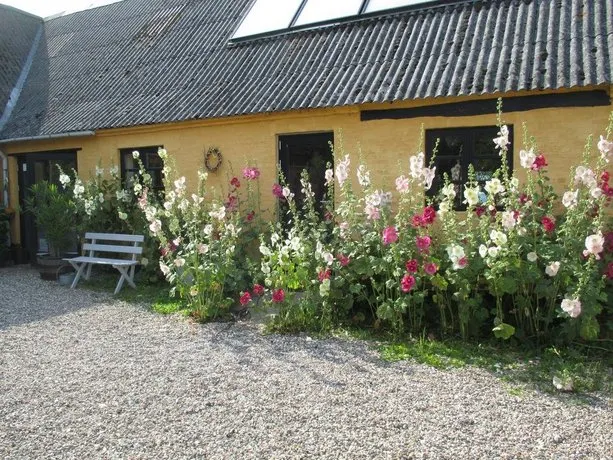 Bojden Cottage - Image 1
