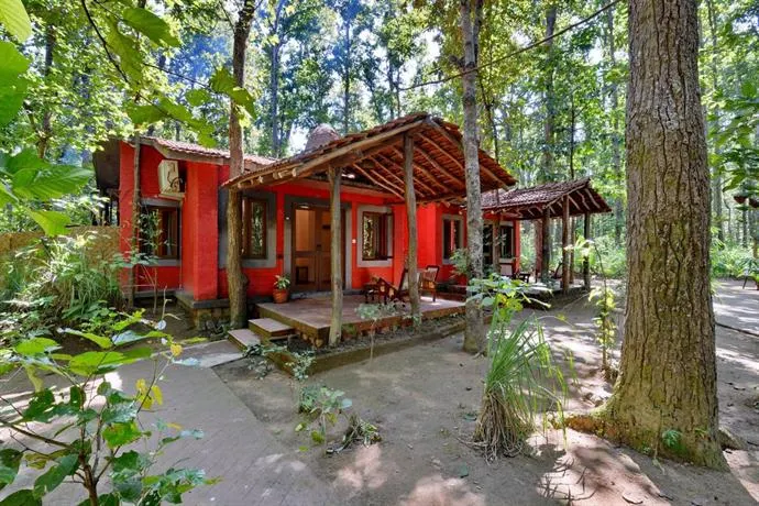 Kanha Jungle Lodge - Image 1