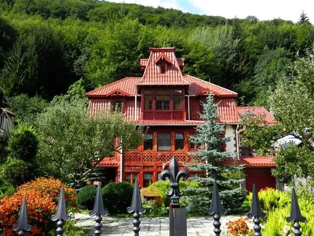 Vila Sinaia Vila Alexandra - Image 1