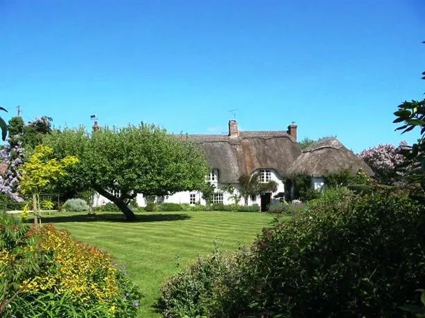 Honeycombe Cottage B&B - Image 1