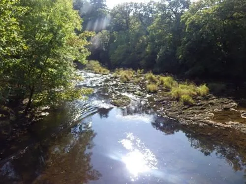 RIVER SHACK - Image 1