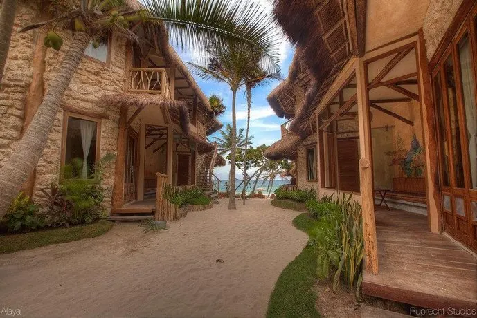 Life Source Retreats Tulum - Image 1