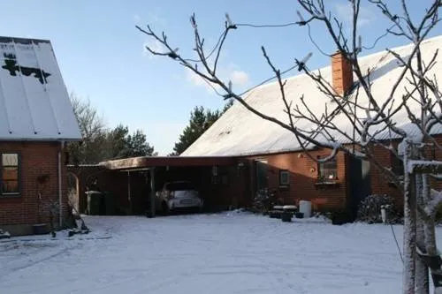 Stutteri Sonne Bed & Breakfast - Image 1